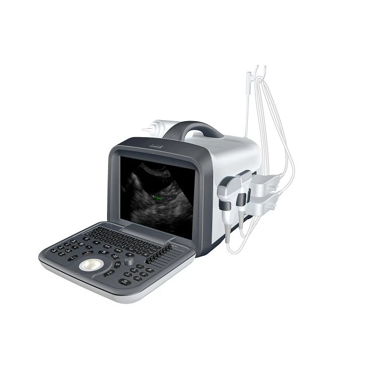 Entry Level BW Veterinary Ultrasound